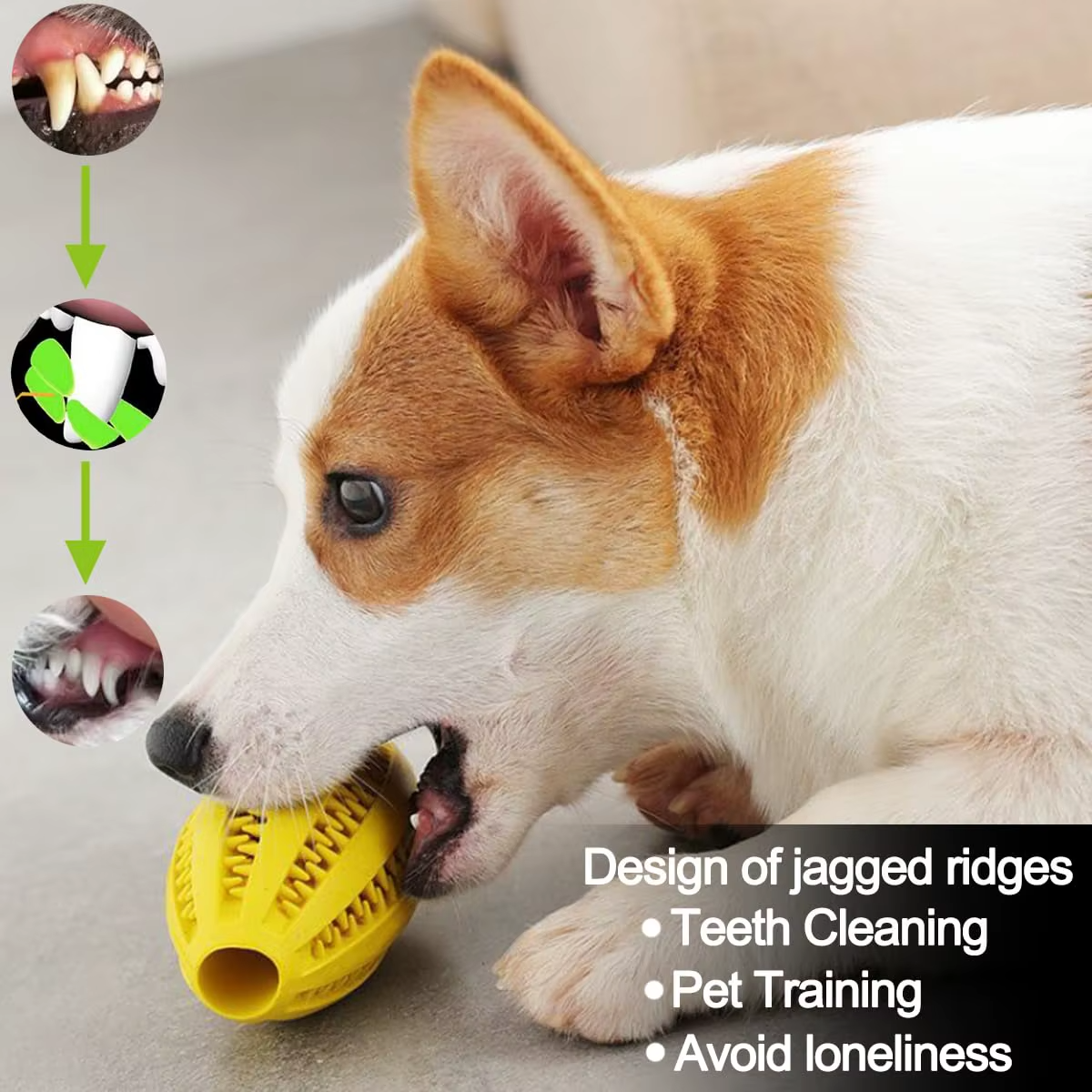 Durable Rubber Dog Treat Ball – Interactive Bouncy Chew Toy