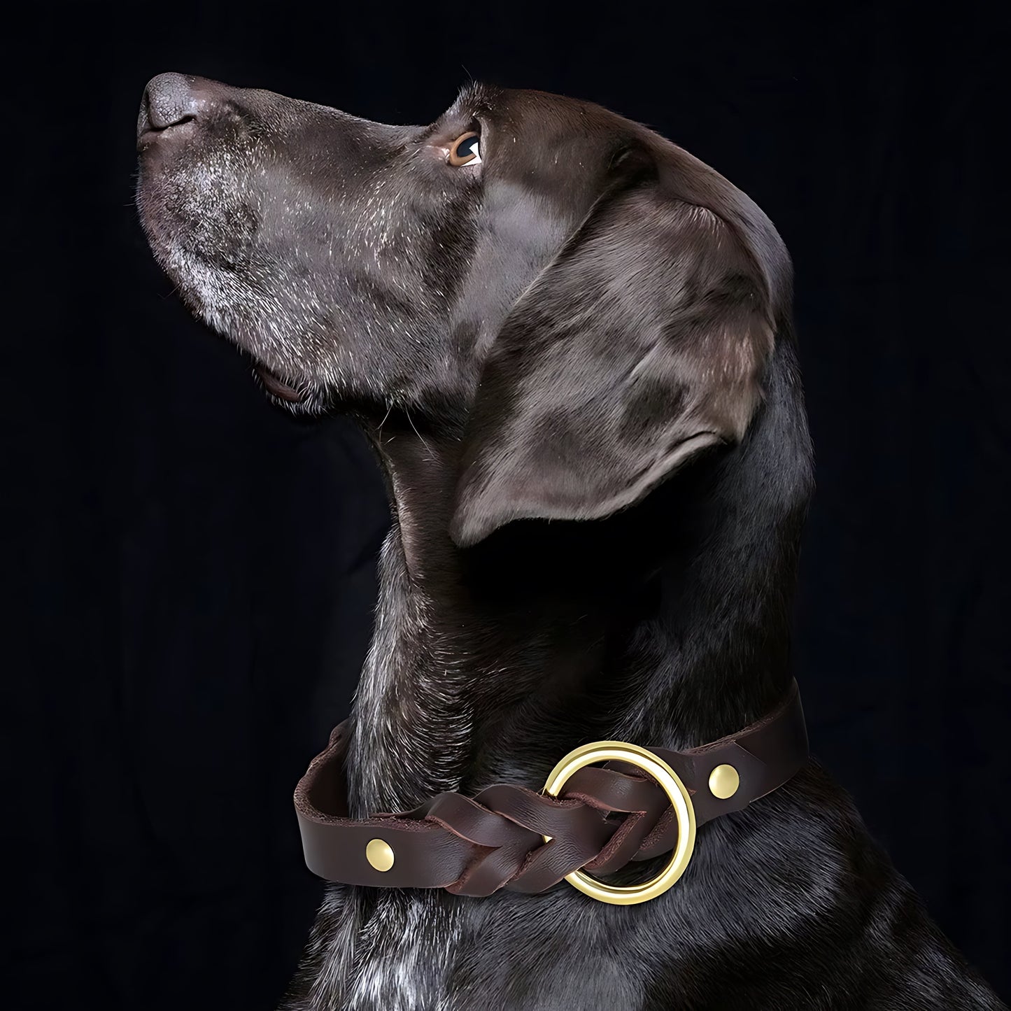 Genuine Leather Dog Collar & Leash Set – Braided Heavy Duty Lead for Medium & Large Dogs