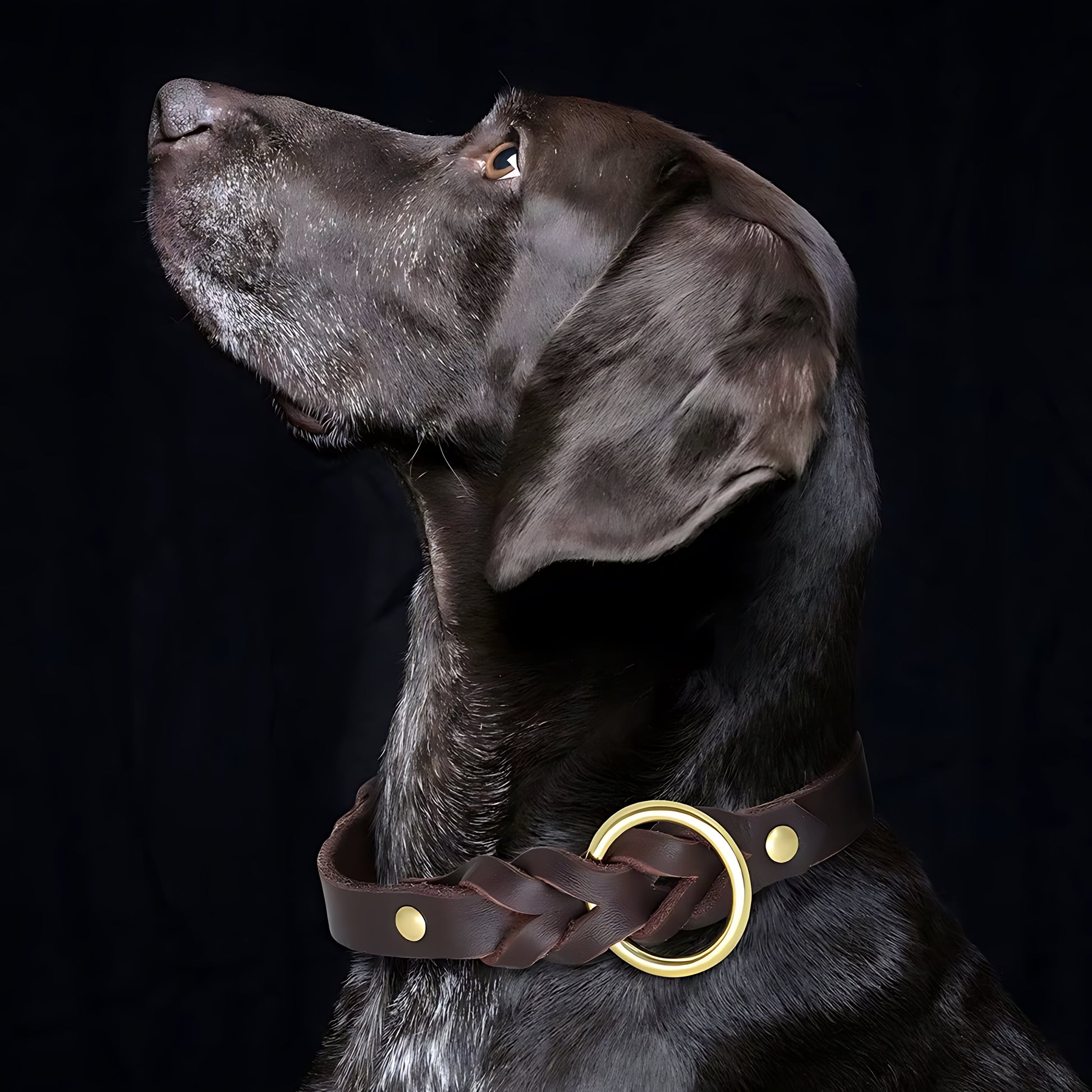 Genuine Leather Dog Collar & Leash Set – Braided Heavy Duty Lead for Medium & Large Dogs